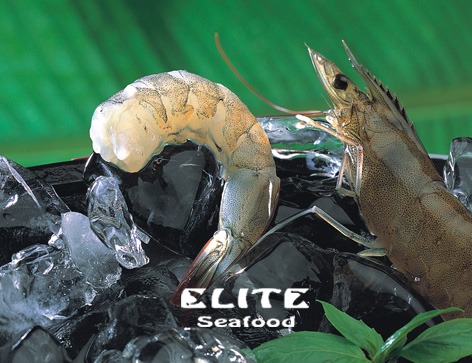 Eliteseafood_品牌建立